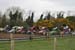 Grass Rally - 07