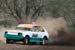 Grass Rally - 17