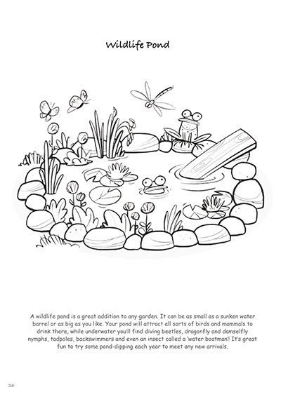Biodiversity-in-Your-Garden-Colouring-Book_231227_110823_26