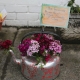 Flower Container Competition
