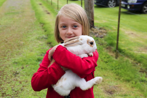 Blessing of Pets