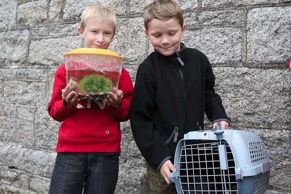 Blessing of Pets