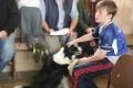 Blessing of Pets