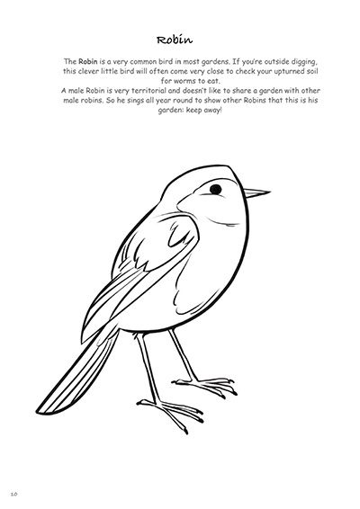 Biodiversity-in-Your-Garden-Colouring-Book_231227_110823_10