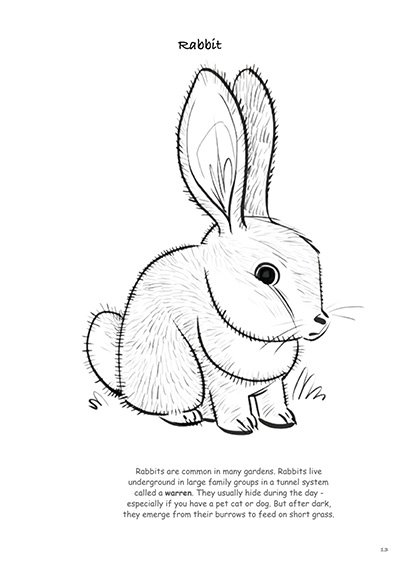 Biodiversity-in-Your-Garden-Colouring-Book_231227_110823_13