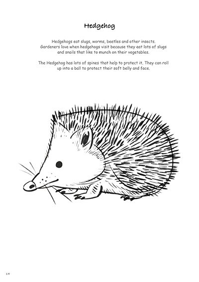 Biodiversity-in-Your-Garden-Colouring-Book_231227_110823_14