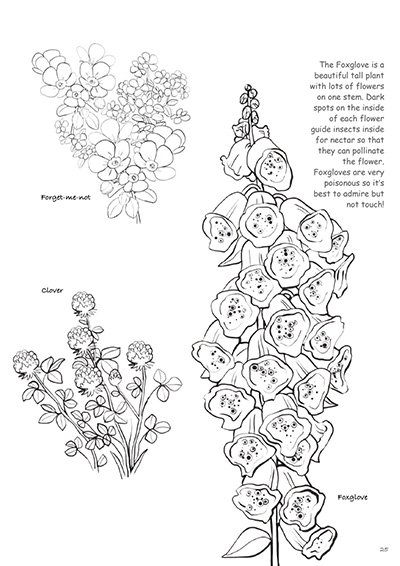 Biodiversity-in-Your-Garden-Colouring-Book_231227_110823_25