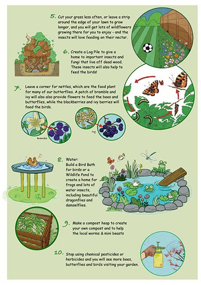 Biodiversity-in-Your-Garden-Colouring-Book_231227_110823_3