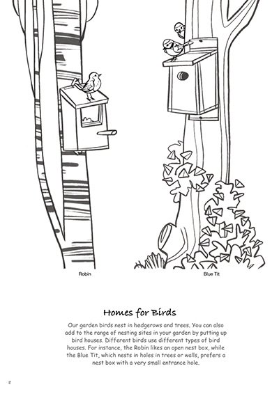 Biodiversity-in-Your-Garden-Colouring-Book_231227_110823_8