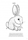 Biodiversity-in-Your-Garden-Colouring-Book_231227_110823_13