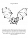 Biodiversity-in-Your-Garden-Colouring-Book_231227_110823_18