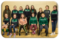 U11 and 12 Girls Football