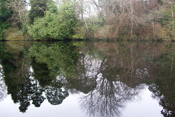 Altamont Reflection