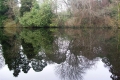 Altamont Reflection