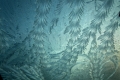 Frost pattern