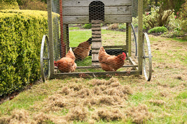 Mobile Scarifier