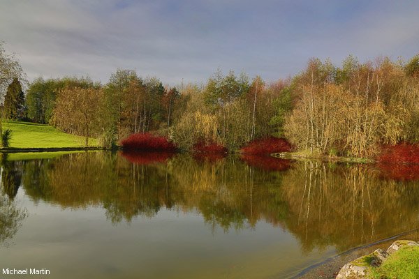 Lake at Mount Wolseley 1/12/14