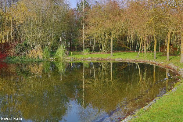 Lake at Mount Wolseley 1/12/14