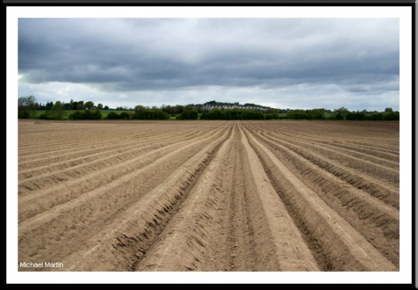 The furrow
