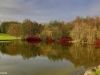Lake at Mount Wolseley 1/12/14