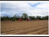 Potato planting