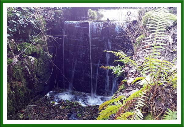 Waterfall at Altamont