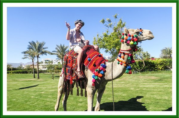 Camel problems