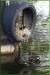 12th lock