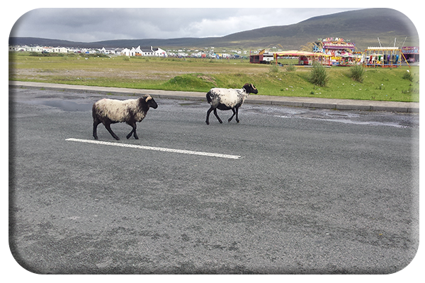 Slow lane on Achill island