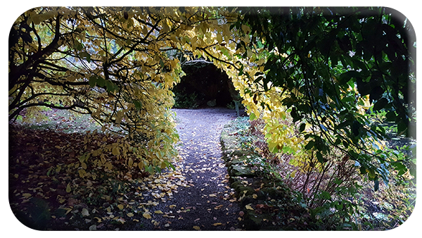 November in Altamont