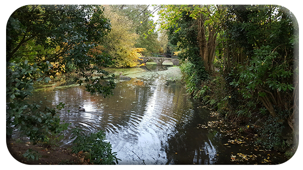 November in Altamont