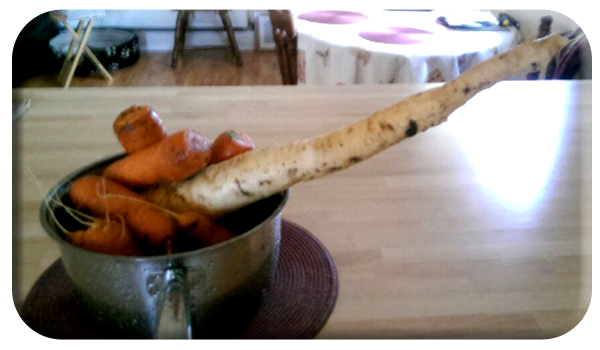 King Parsnip