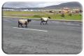 Slow lane on Achill island
