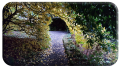 November in Altamont