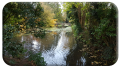 November in Altamont