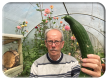 Cucumber