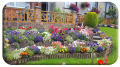Kathleen and Sinead Abbey's garden