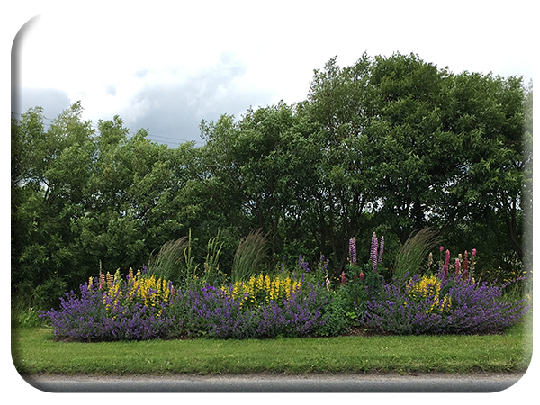 Flower bed Bunclody Road