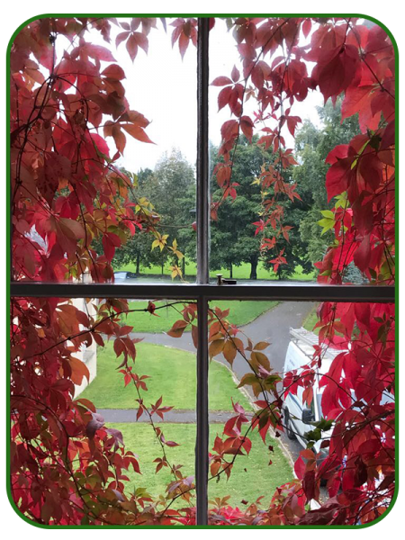Carlow College