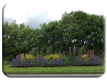 Flower bed Bunclody Road