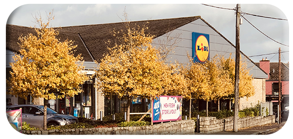 Autumn in Tullow