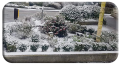 IMG_2720-002-copy