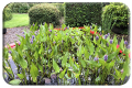 Pond-of-pickerelweed