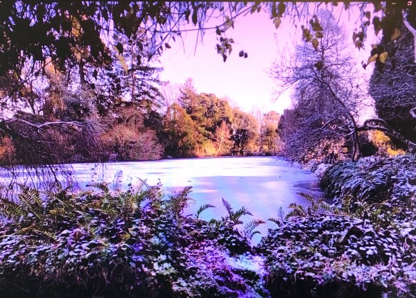 Altamont-in-Jan2 2021