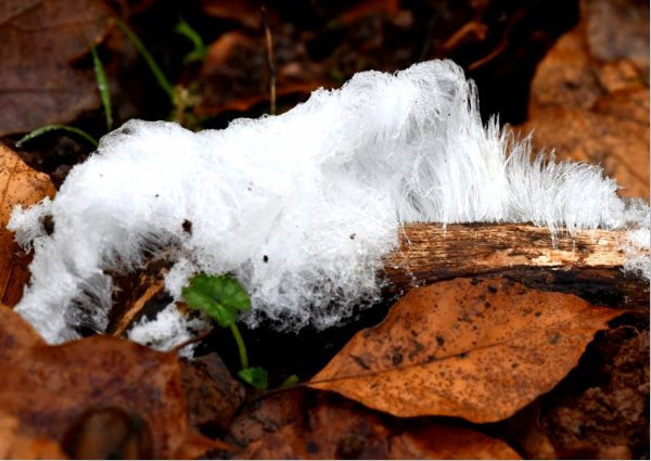 Hair-ice