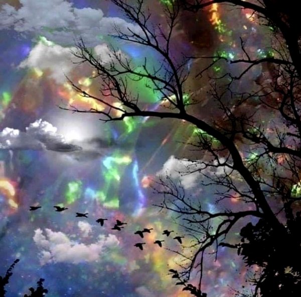Rainbow