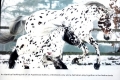 Piebald trio