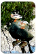 Ducks