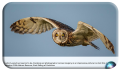IMG_0164-copy