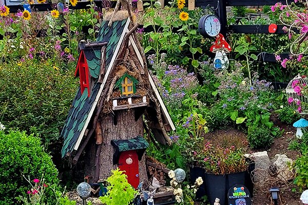 in Fairy garden